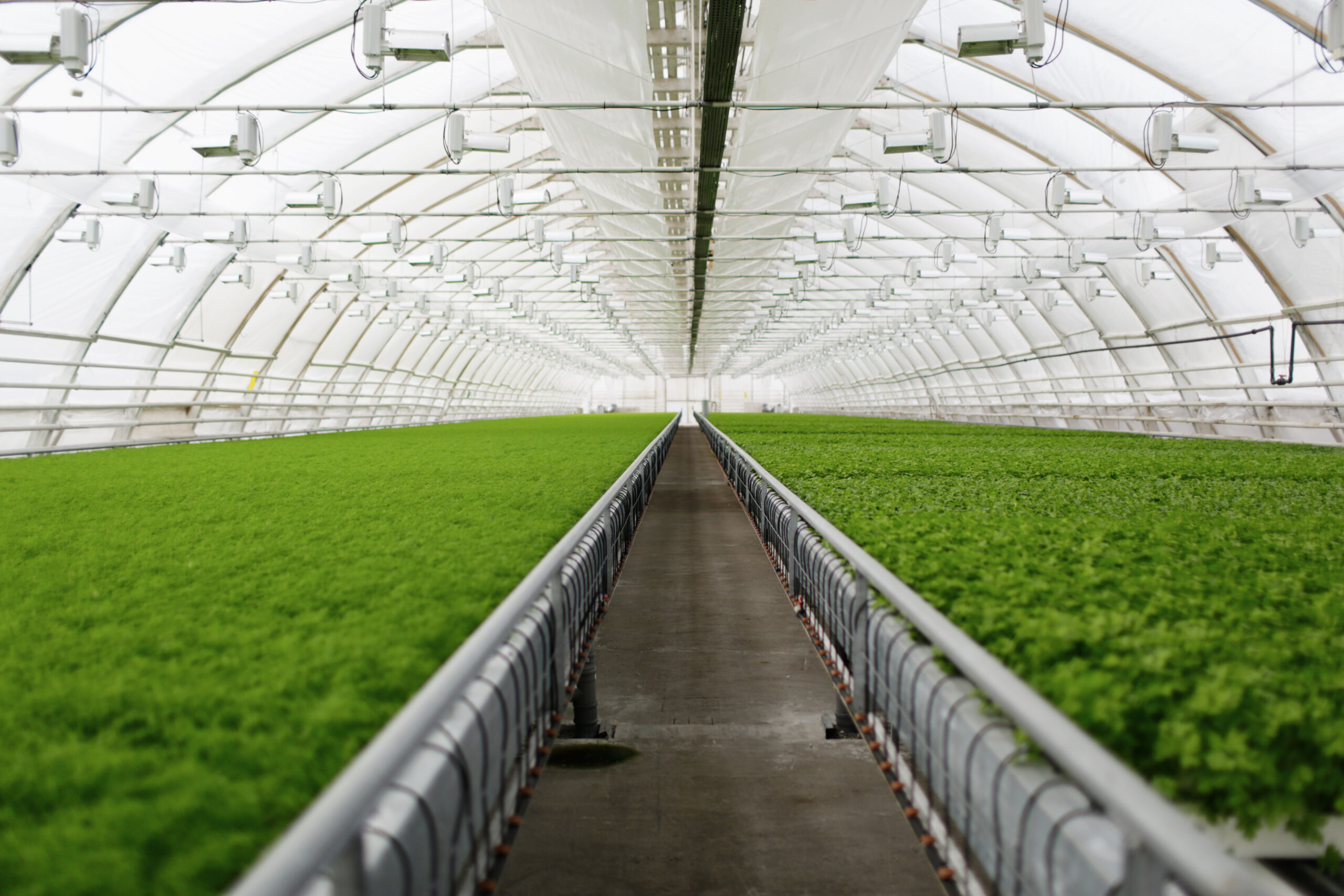 we offer integrated landscaping and irrigation solutions that transform outdoor spaces into vibrant green oases, ensuring sustainability and efficiency in water consumption.